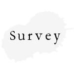 survey
